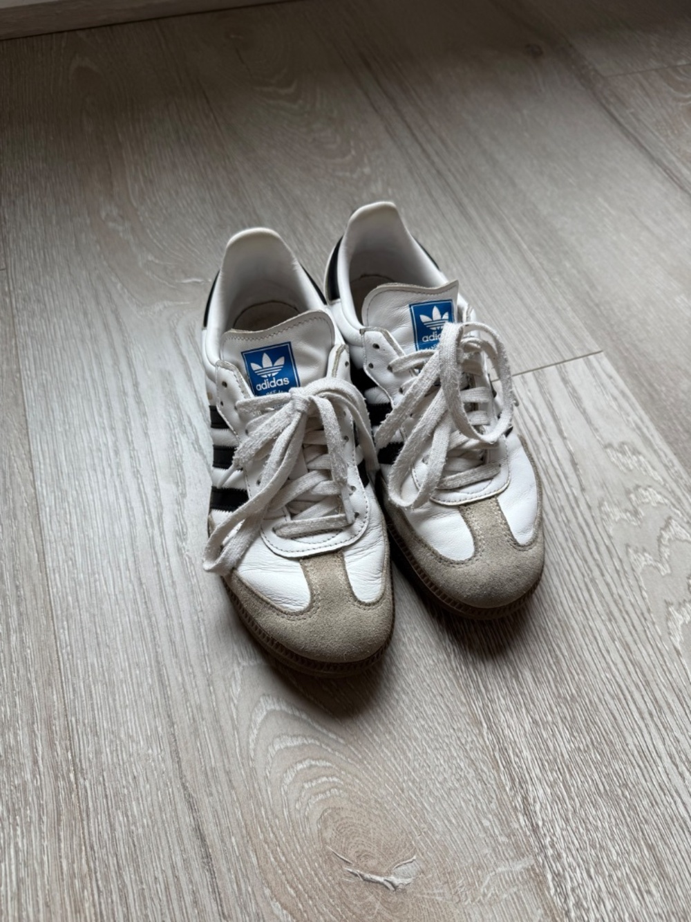 Adidas Samba - Picture 7 of 7